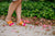 | Pink/Orange