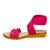 | Flamingo